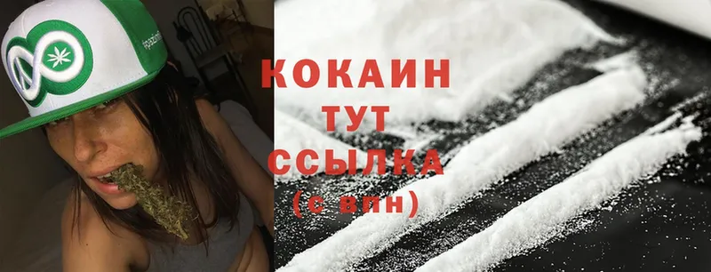 Cocaine FishScale Краснослободск